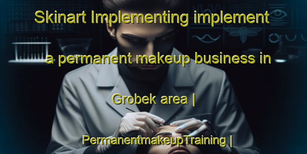 Skinart Implementing implement a permanent makeup business in Grobek area | PermanentmakeupTraining | PermanentmakeupClasses | SkinartTraining-Poland